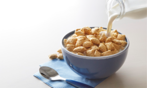 Puffins Cereal Bowl