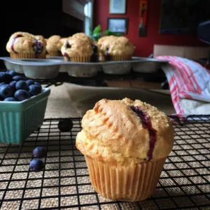 gfJules Gluten Free Blueberry Muffin Mix