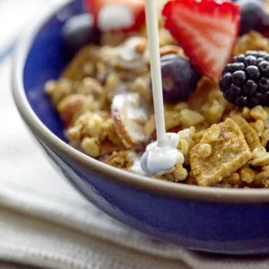 Catalina Crunch Vanilla Almond Protein Granola Bowl