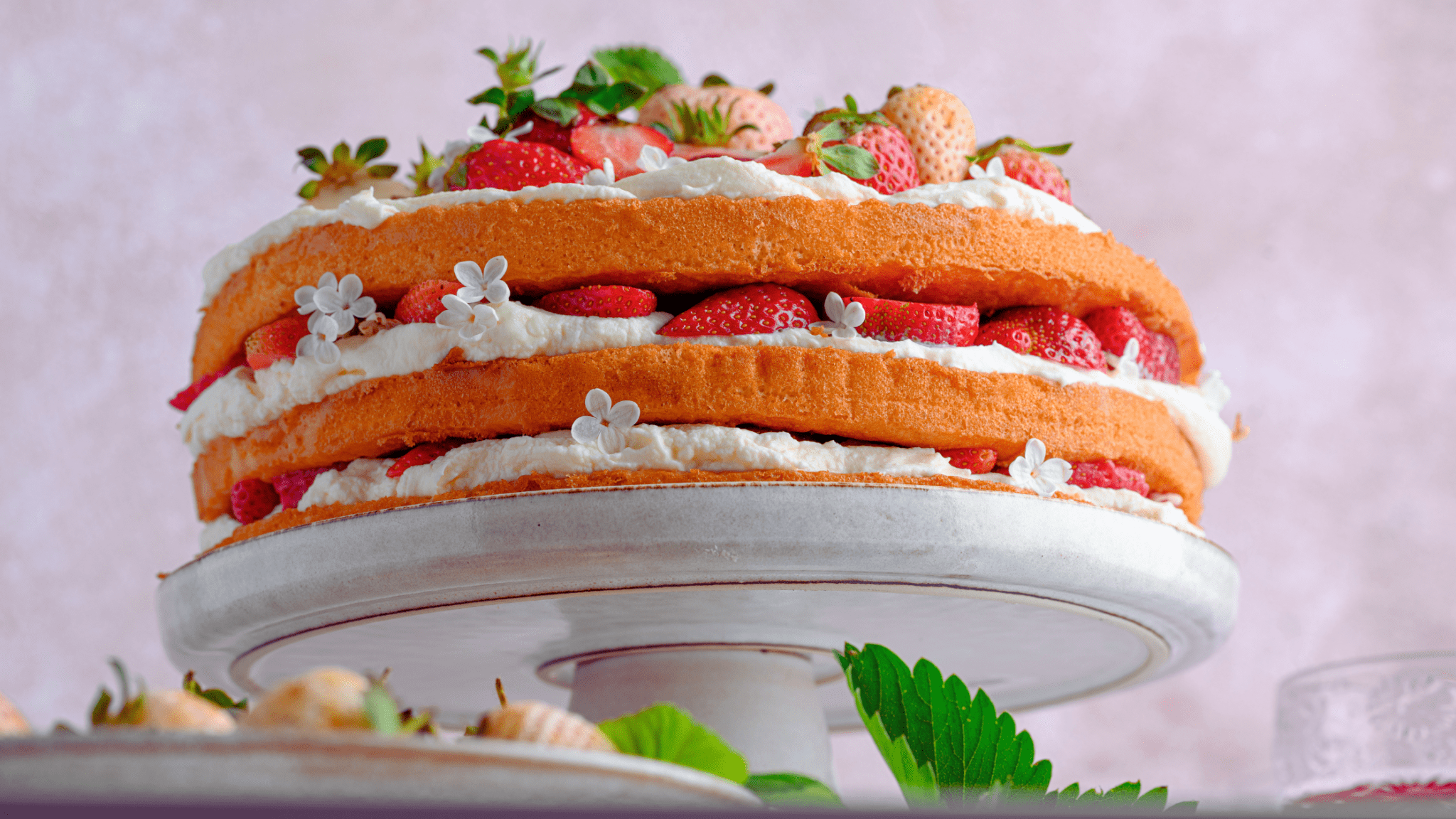 Strawberry and Whipped Cream Cake Recipe