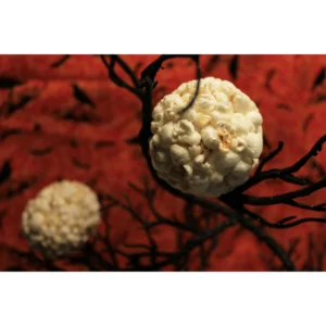 Kathy Kaye Halloween Sweet & Salty Popcorn Balls