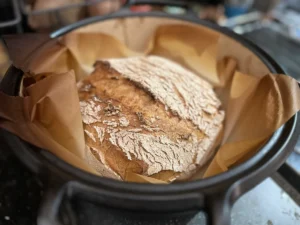 Gluten Free Sourdough Dutch Oven