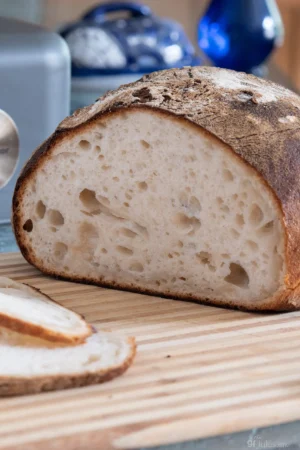 Gluten Free Sourdough gfJules