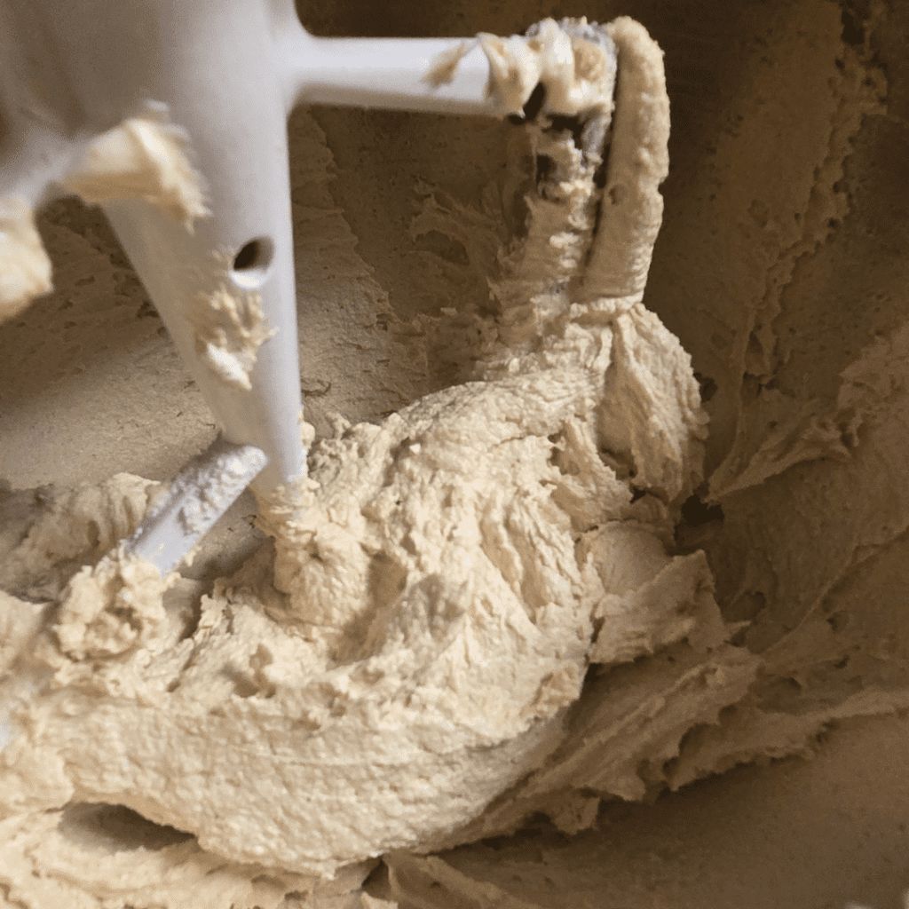 Gluten Free Oatmeal Cookies Dough