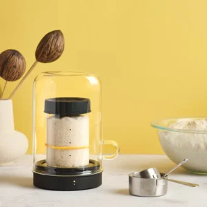 Goldie by Sourhouse Starter Warmer